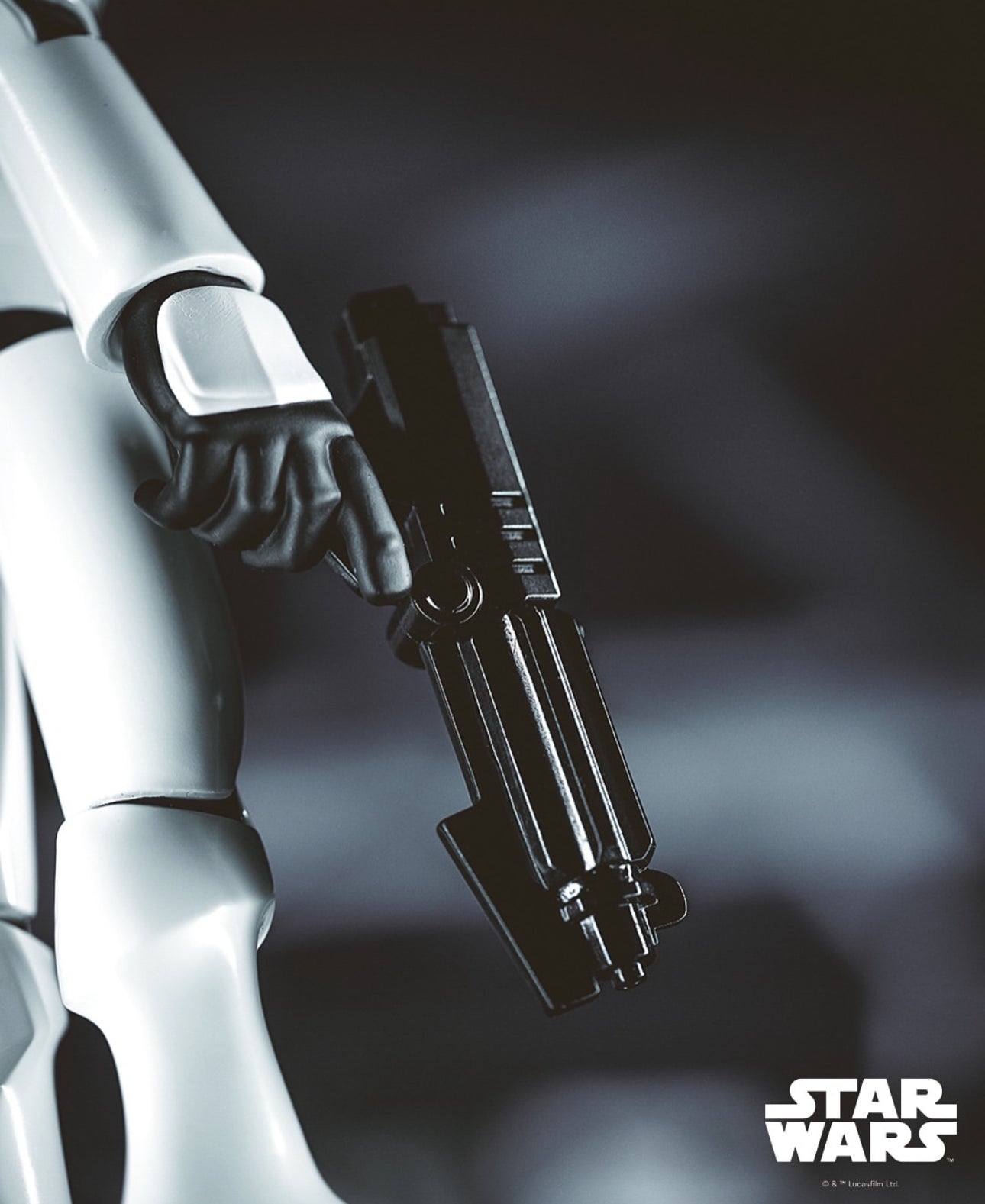 Starwars Storm Trooper x Roji